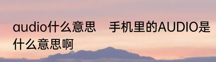 audio什么意思　手机里的AUDIO是什么意思啊