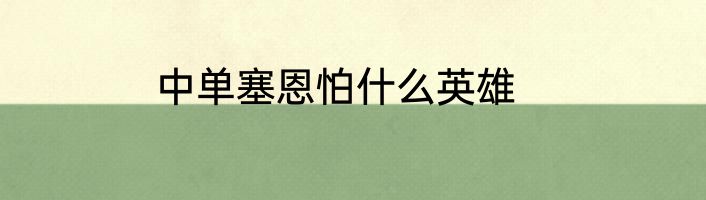中单塞恩怕什么英雄