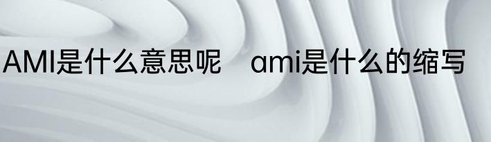 AMI是什么意思呢　ami是什么的缩写