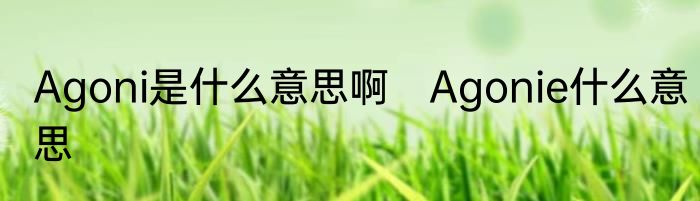 Agoni是什么意思啊　Agonie什么意思