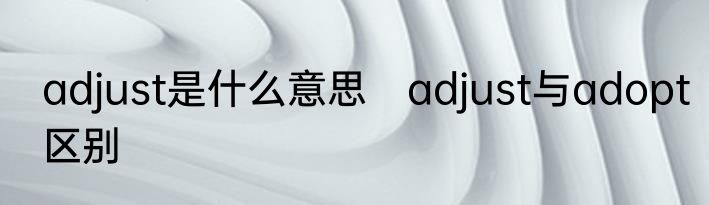 adjust是什么意思　adjust与adopt区别