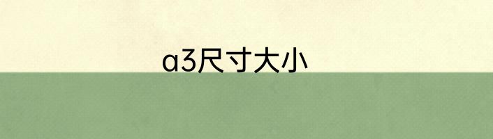 a3尺寸大小