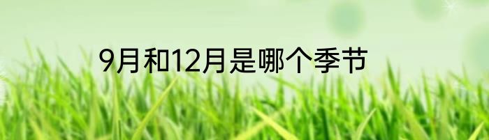 9月和12月是哪个季节