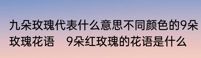 九朵玫瑰代表什么意思不同颜色的9朵玫瑰花语　9朵红玫瑰的花语是什么