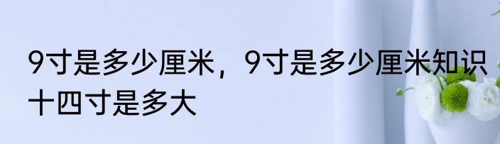 9寸是多少厘米，9寸是多少厘米知识　十四寸是多大