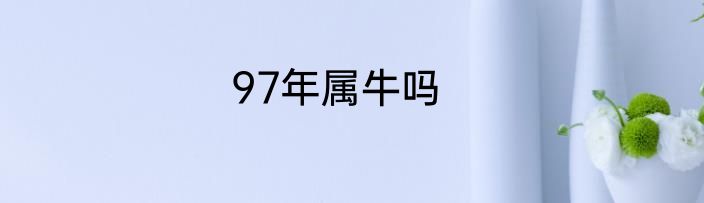 97年属牛吗
