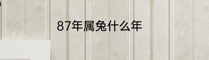 87年属兔什么年