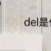 del是什么开关　del啥意思