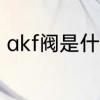 akf阀是什么　我的世界akf什么意思