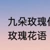 九朵玫瑰代表什么意思不同颜色的9朵玫瑰花语　9朵红玫瑰的花语是什么