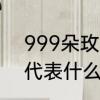 999朵玫瑰花代表什么　999朵玫瑰代表什么意思