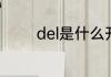 del是什么开关　del啥意思