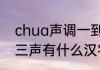 chua声调一到四声组成的字　chua三声有什么汉字