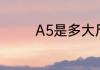 A5是多大尺寸　a5纸尺寸