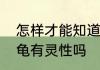 怎样才能知道乌龟有没有灵性　拟鳄龟有灵性吗