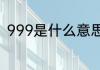 999是什么意思　999数字代表什么