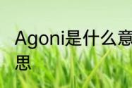 Agoni是什么意思啊　Agonie什么意思