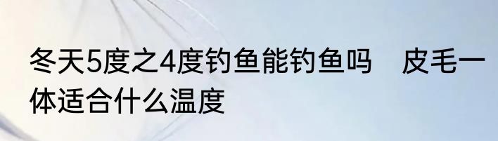 冬天5度之4度钓鱼能钓鱼吗　皮毛一体适合什么温度