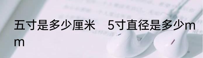 五寸是多少厘米　5寸直径是多少mm