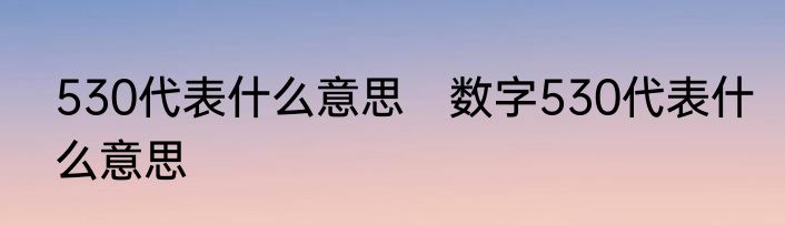 530代表什么意思　数字530代表什么意思