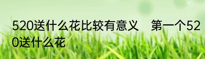 520送什么花比较有意义　第一个520送什么花