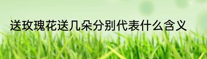 送玫瑰花送几朵分别代表什么含义