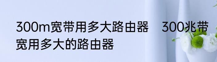 300m宽带用多大路由器　300兆带宽用多大的路由器