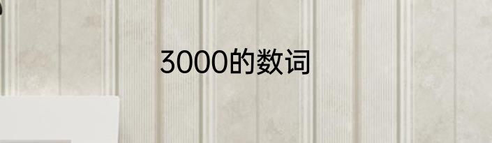 3000的数词