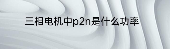 三相电机中p2n是什么功率