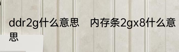 ddr2g什么意思　内存条2gx8什么意思
