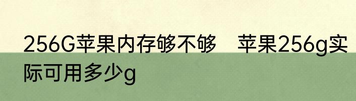 256G苹果内存够不够　苹果256g实际可用多少g