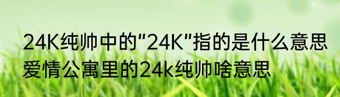 24K纯帅中的“24K”指的是什么意思　爱情公寓里的24k纯帅啥意思