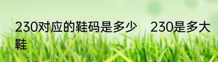 230对应的鞋码是多少　230是多大鞋