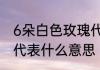6朵白色玫瑰代表什么　6朵白玫瑰花代表什么意思