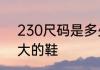 230尺码是多少鞋码　尺码230是多大的鞋