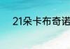 21朵卡布奇诺玫瑰花是什么意思