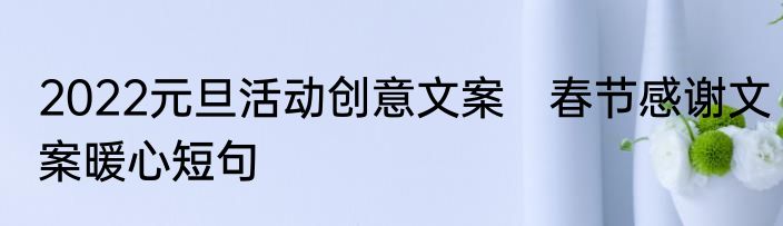 2022元旦活动创意文案　春节感谢文案暖心短句