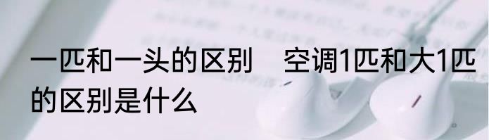一匹和一头的区别　空调1匹和大1匹的区别是什么