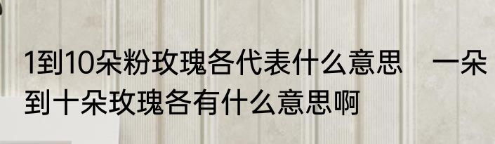 1到10朵粉玫瑰各代表什么意思　一朵到十朵玫瑰各有什么意思啊