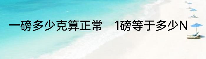 一磅多少克算正常　1磅等于多少N