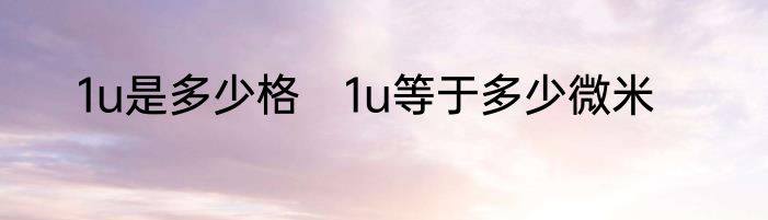 1u是多少格　1u等于多少微米