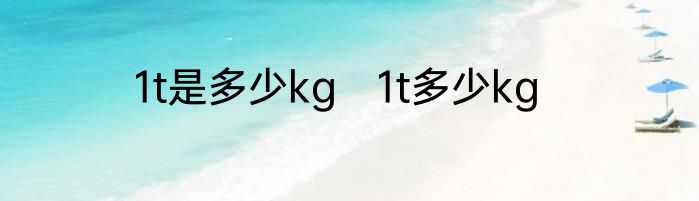 1t是多少kg　1t多少kg