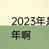 2023年是金龙年吗　2023年是什么年啊