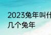 2023兔年叫什么寅年　2023年是第几个兔年