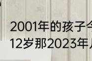 2001年的孩子今年多大了　2001年是12岁那2023年几岁