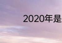 2020年是什么年是虎年吗