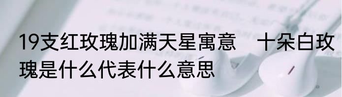 19支红玫瑰加满天星寓意　十朵白玫瑰是什么代表什么意思