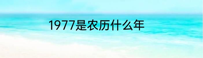 1977是农历什么年