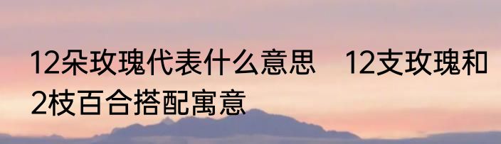 12朵玫瑰代表什么意思　12支玫瑰和2枝百合搭配寓意