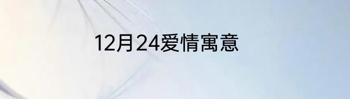 12月24爱情寓意